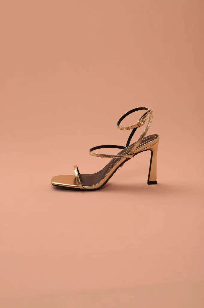 BAILEY 29 DORADO.webp